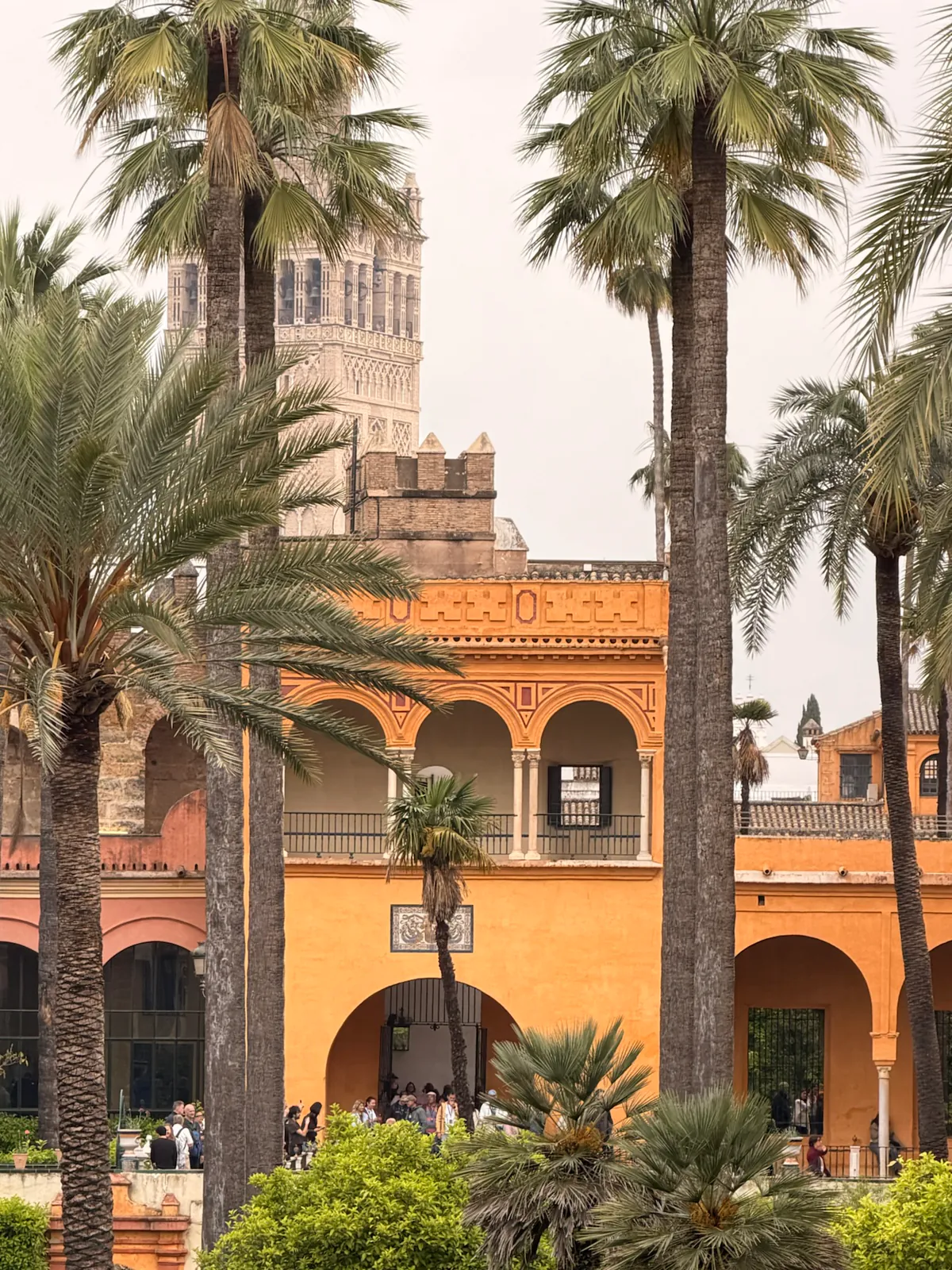 Royal Alcázar gardens with La Giralda visible in the distance in Seville