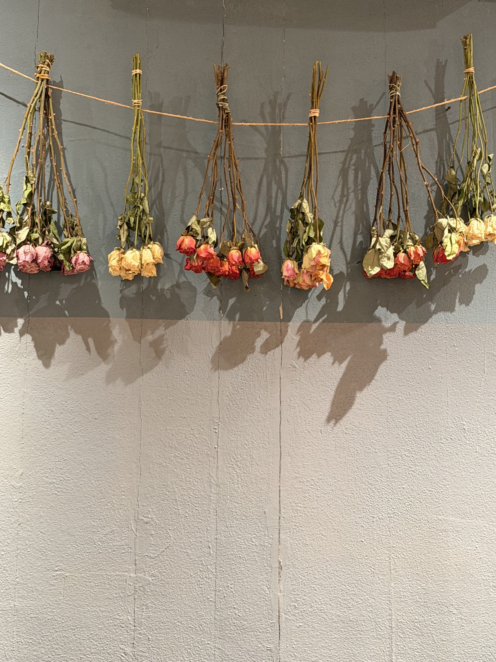 Dried flower wall inside Cantina Dospade in Venice