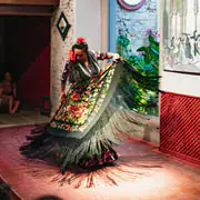 Related experience: [Seville] Casa de la Memoria Flamenco Show — Seville's most celebrated performance 💃