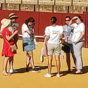 Related experience: [Seville] Plaza de Toros de la Maestranza Guided Tour
