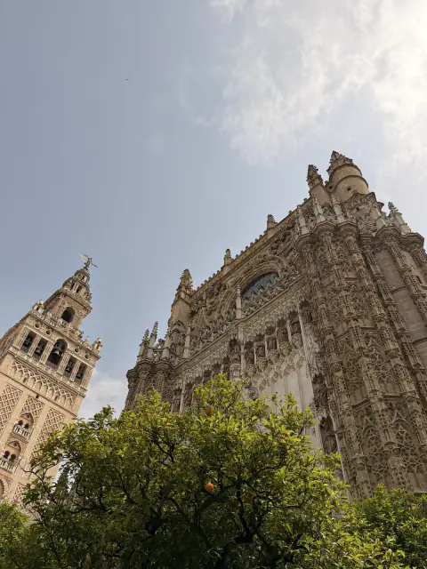the tower and the cathedral ⛪️